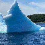 Stunning iceberg views from the deck of our boat